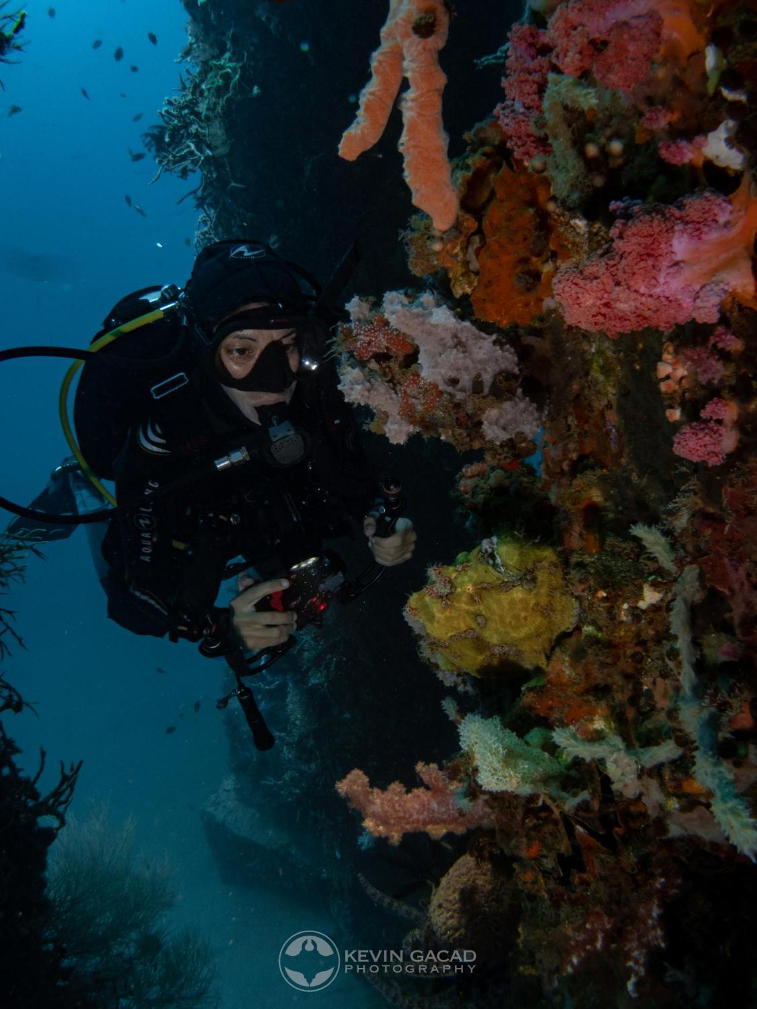 Vitaminsea Room Dauin Buitenkant foto